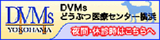 DVMs どうぶつ医療センター横浜